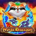 Ninja Raccoon